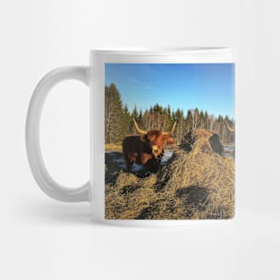 Scottish Highland Cattle Cows 2294 Mug